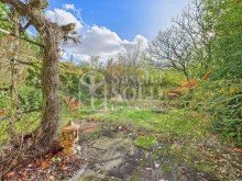 Au�enbereich Freistehende Liegenschaft mit Privatweg, Garage, Garten und viel Gestaltungspotenzial