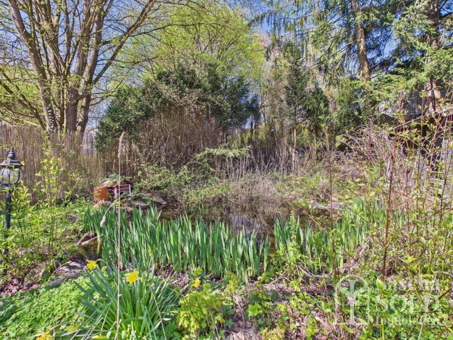 Teichanlage Einfamilienhaus Spiesen-Elversberg