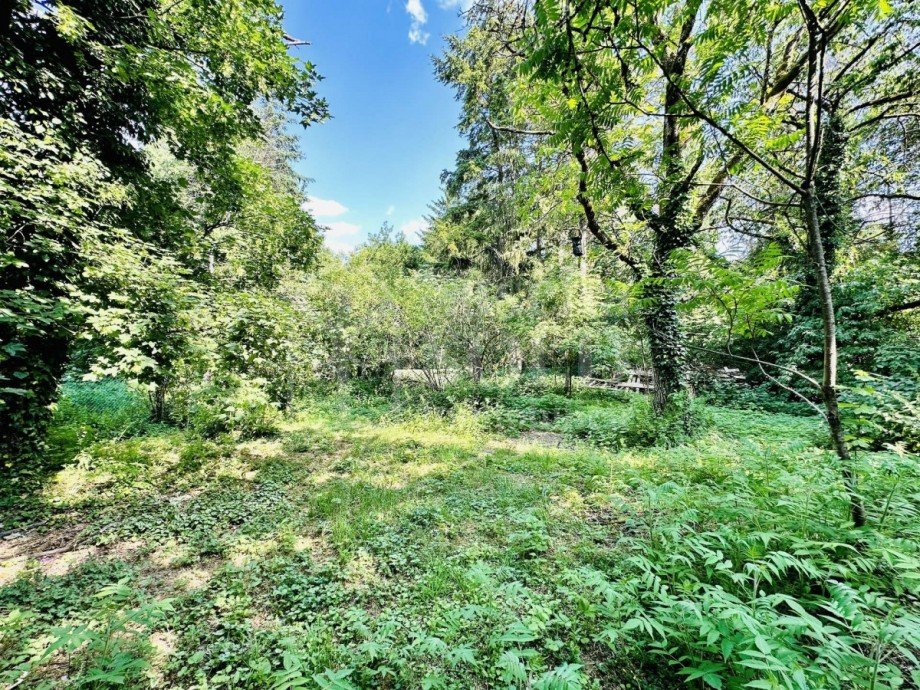 Garten Zweifamilienhaus Blieskastel