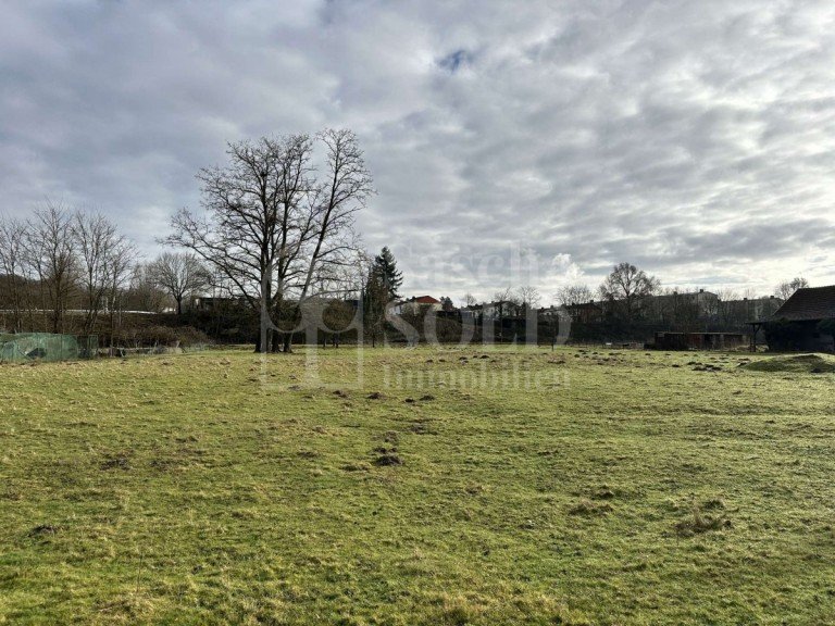 IMMO-143 Dillingen/Saar Gewerbegrundst�ck Bauerwartungsland in einem Gewerbegebiet mit 1.484 m� in Dillingen, Saar