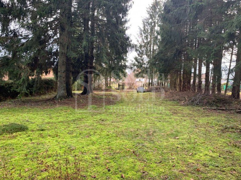 Grundst�ck Weiskirchen Freizeitgrundst�ck Grundst�ck mit 3.368 m� f�r Hobby und Freizeit im Luftkurort Weiskirchen